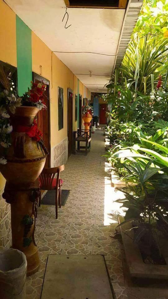 Hotel Economica Coxen Hole Bagian luar foto